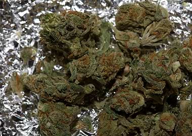 Super lemon kush stuff