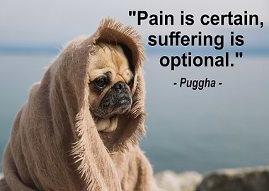 PUG BUDDHA QUOTE 1
