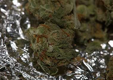 Super lemon kush stuff