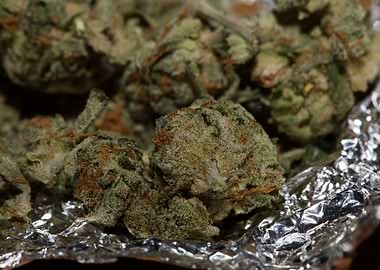 Super lemon kush stuff