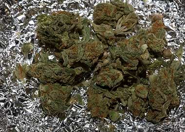 Super lemon kush stuff