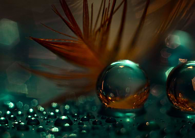 Hydrogel water balls