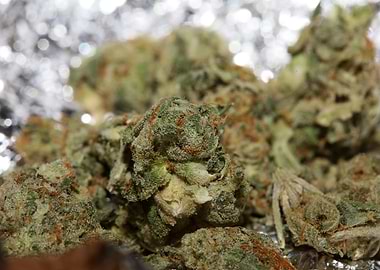 Super lemon kush stuff