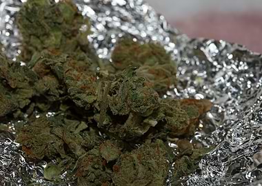 Super lemon kush stuff