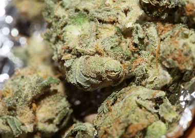 Super lemon kush stuff