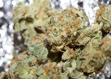 Super lemon kush stuff