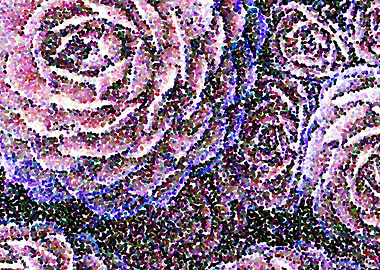 Dotted Roses