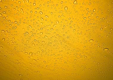 Rain droplets on yellow