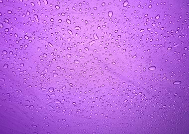 Rain droplets on purple