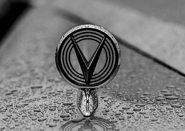 Buick Badge