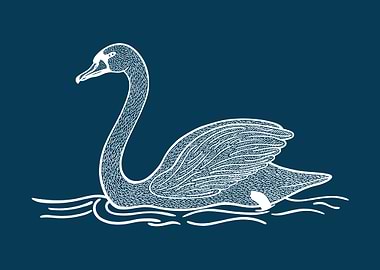 Swan Water Bird Ink Art