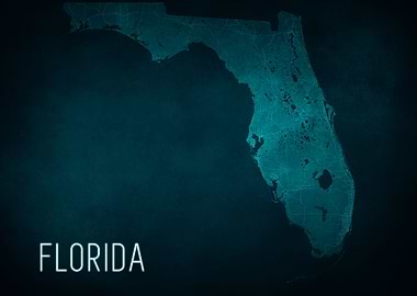 Florida Light Map Blue