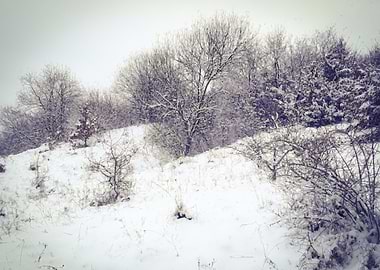 Snow in the mountain