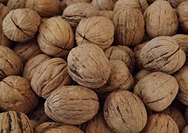 Walnuts from the market