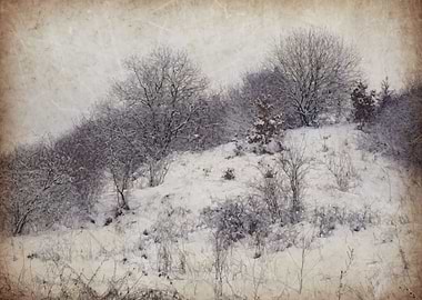 Vintage winter adventure