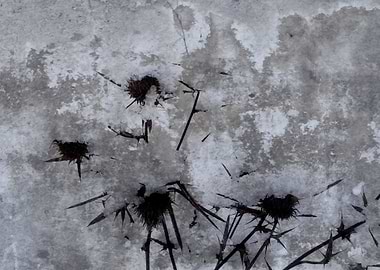 Transformation in winter