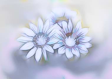 garzania flower in bloom