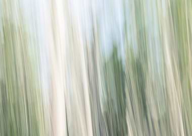 Panning Trees