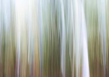 Panning Trees