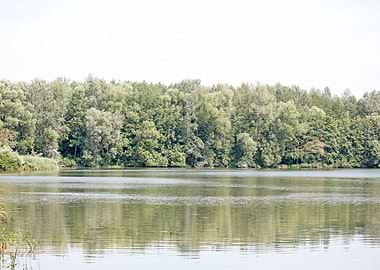 Brombachsee zeltwiese area