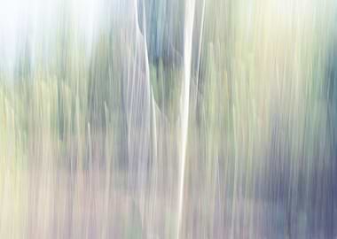 Panning Trees