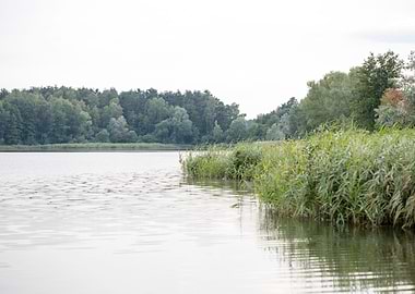 Brombachsee zeltwiese area