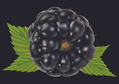 Black Grape