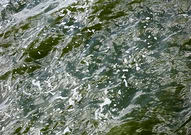 Brombachsee zeltwiese area