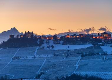 Italian heritage wineyards