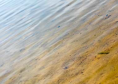 Brombachsee zeltwiese area