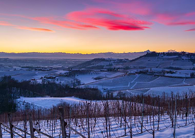 Sunset over wine yards