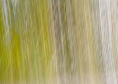 Panning Trees