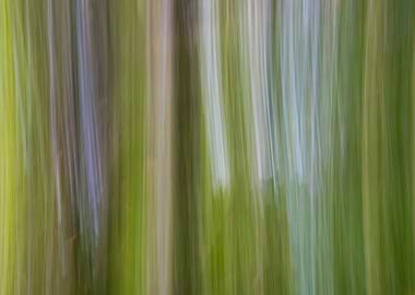 Panning Trees