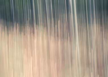 Panning Trees