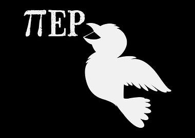 Pi Piep Bird Mathematician
