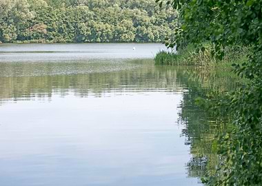 Brombachsee zeltwiese area