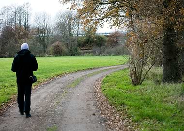 Wild forest empty roads