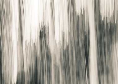 Panning Trees
