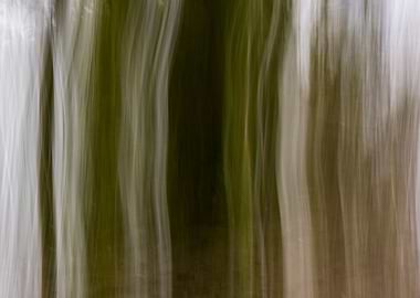 Panning Trees