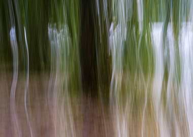 Panning Trees