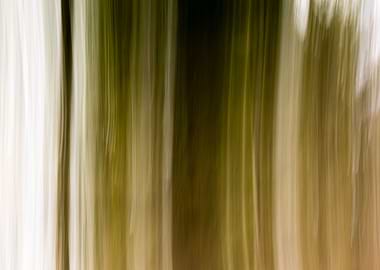 Panning Trees