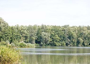 Brombachsee zeltwiese area