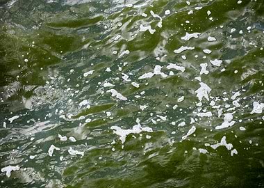 Brombachsee zeltwiese area