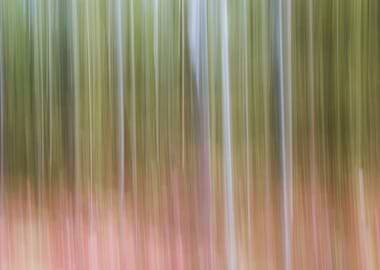 Panning Trees