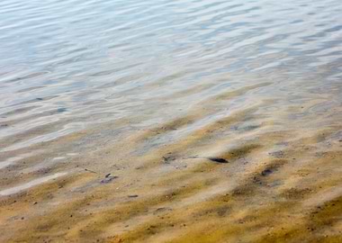 Brombachsee zeltwiese area