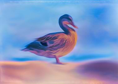 duck on rock at lake