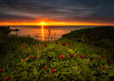 Sunset on lake sea boat