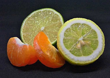 Citrus fruits Stilllife