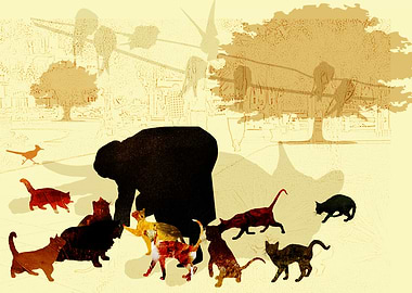 Woman who feeds the cats