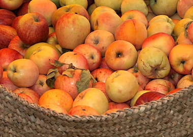 Basket with apples